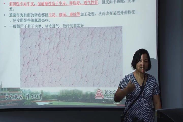 鞋类生产工艺，浙江工贸职业技术学院，主讲：卢行芳 83讲，网盘下载(6.51G)