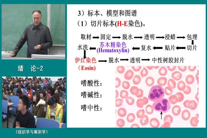 组织学与解剖学，河北师范大学，主讲：段相林 52讲，网盘下载(5.03G)