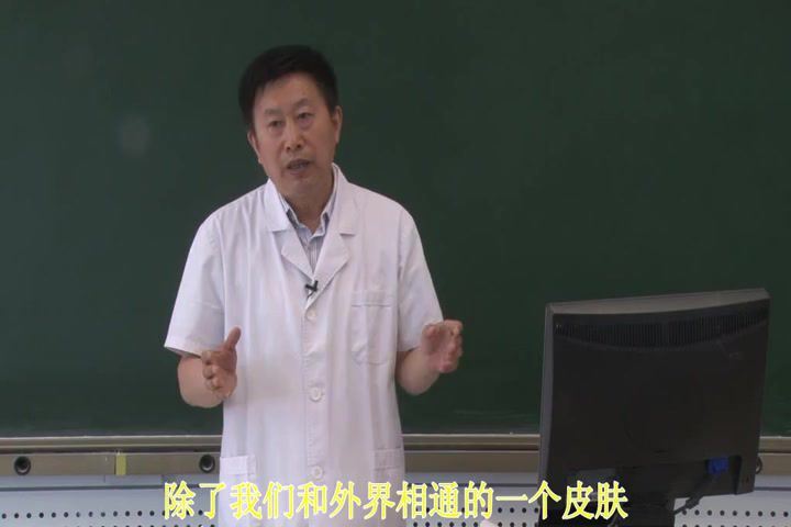 中医骨伤科学，长春中医药大学，主讲：赵文海 73讲，网盘下载(8.55G)