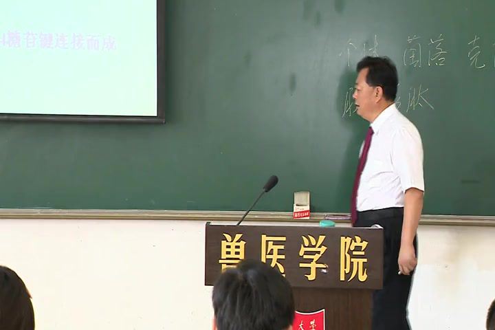 兽医微生物学，扬州大学，主讲：孙怀昌 74讲，网盘下载(4.03G)