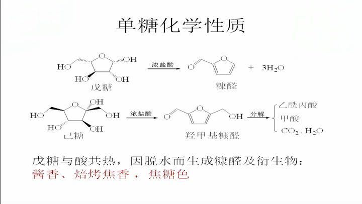 食品生物化学，华南理工大学，主讲：宁正祥 70讲，网盘下载(6.82G)