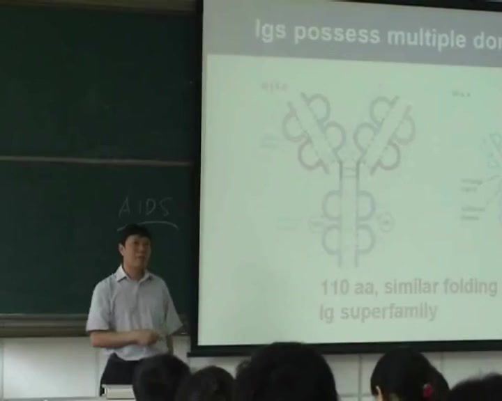 医学免疫学，北京大学，主讲：张毓 30讲，网盘下载(6.86G)