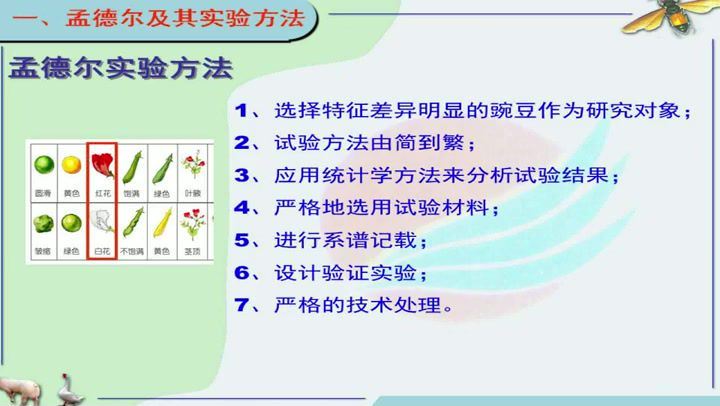 动物遗传学，扬州大学，主讲：李碧春 46讲，网盘下载(4.57G)