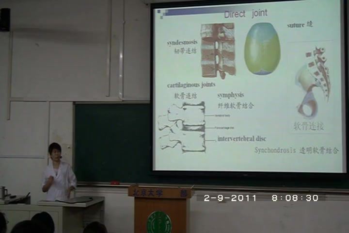 人体解剖学，北京大学，主讲：张卫光 28讲，网盘下载(4.45G)