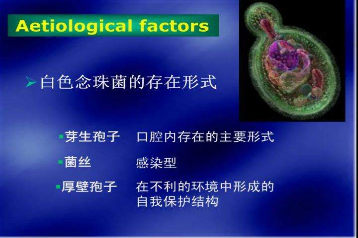 口腔黏膜病学，四川大学，主讲：陈谦明 14讲，网盘下载(1.23G)