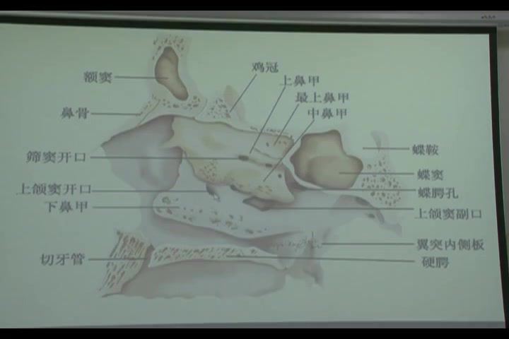 耳鼻咽喉头颈外科学，华中科技大学，主讲：孔维佳 21讲，网盘下载(2.70G)