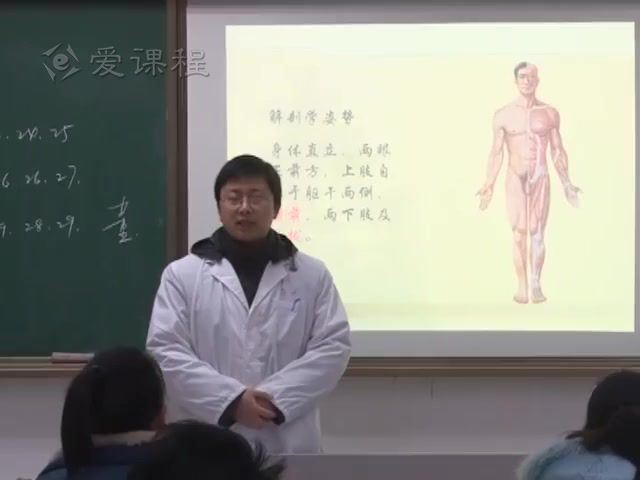 人体解剖学，南通大学，主讲：顾晓松 77讲，网盘下载(11.55G)