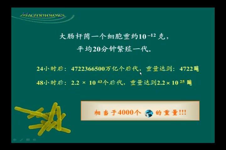 微生物学，浙江工业大学，主讲：裘娟萍 73讲，网盘下载(7.00G)